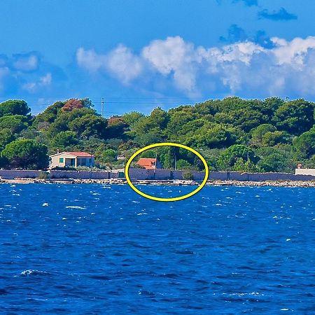 ドゥルヴェニック・マリ House Mislav IIヴィラ エクステリア 写真
